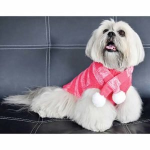 Maglione-per-cani-rosa-cane